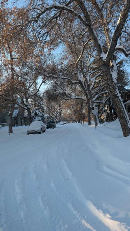 Edmonton faces first big snowfall, up to 15 cm by Thursday Edmonton faces first big snowfall, up to 15 cm by Thursday