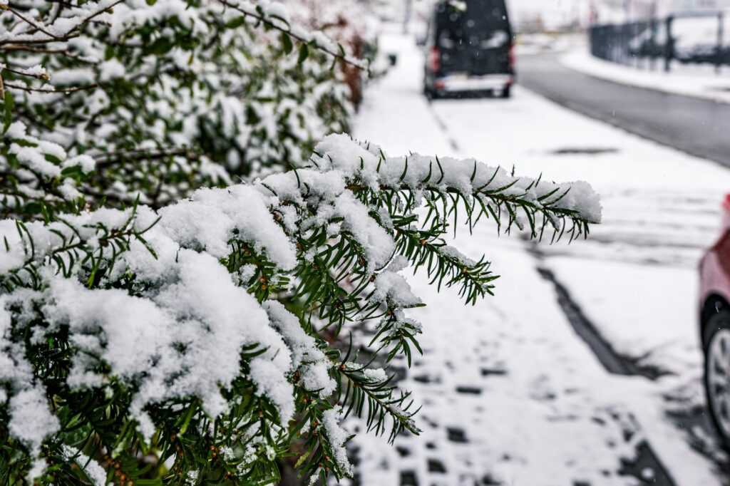 How to de-ice a driveway and walkway in Canada How to de-ice a driveway and walkway in Canada