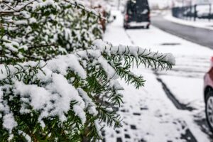 How to de-ice a driveway and walkway in Canada How to de-ice a driveway and walkway in Canada