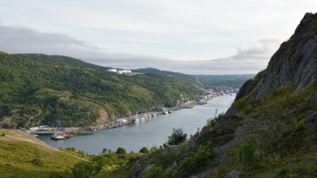 Wind warning for St. John’s, gusts up to 100 km/h