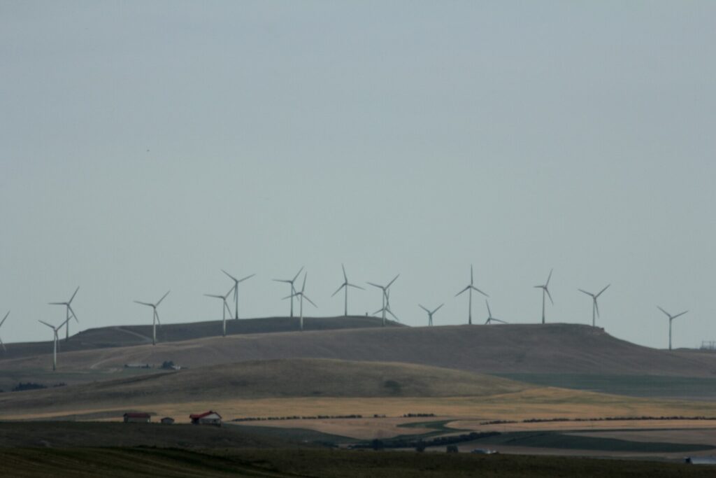Wind warning for southwestern Alberta, gusts to 90 km/h