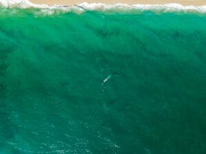 Three convicted in Baja killings of Australian, U.S. surfers Three convicted in Baja killings of Australian, U.S. surfers