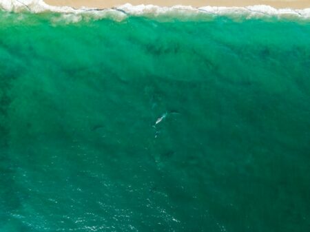 Three convicted in Baja killings of Australian, U.S. surfers