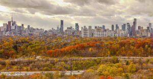 Frost advisory for Toronto, Mississauga and Oakville
