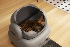Best automatic litter box in Canada for 2026 Best automatic litter box in Canada for 2026