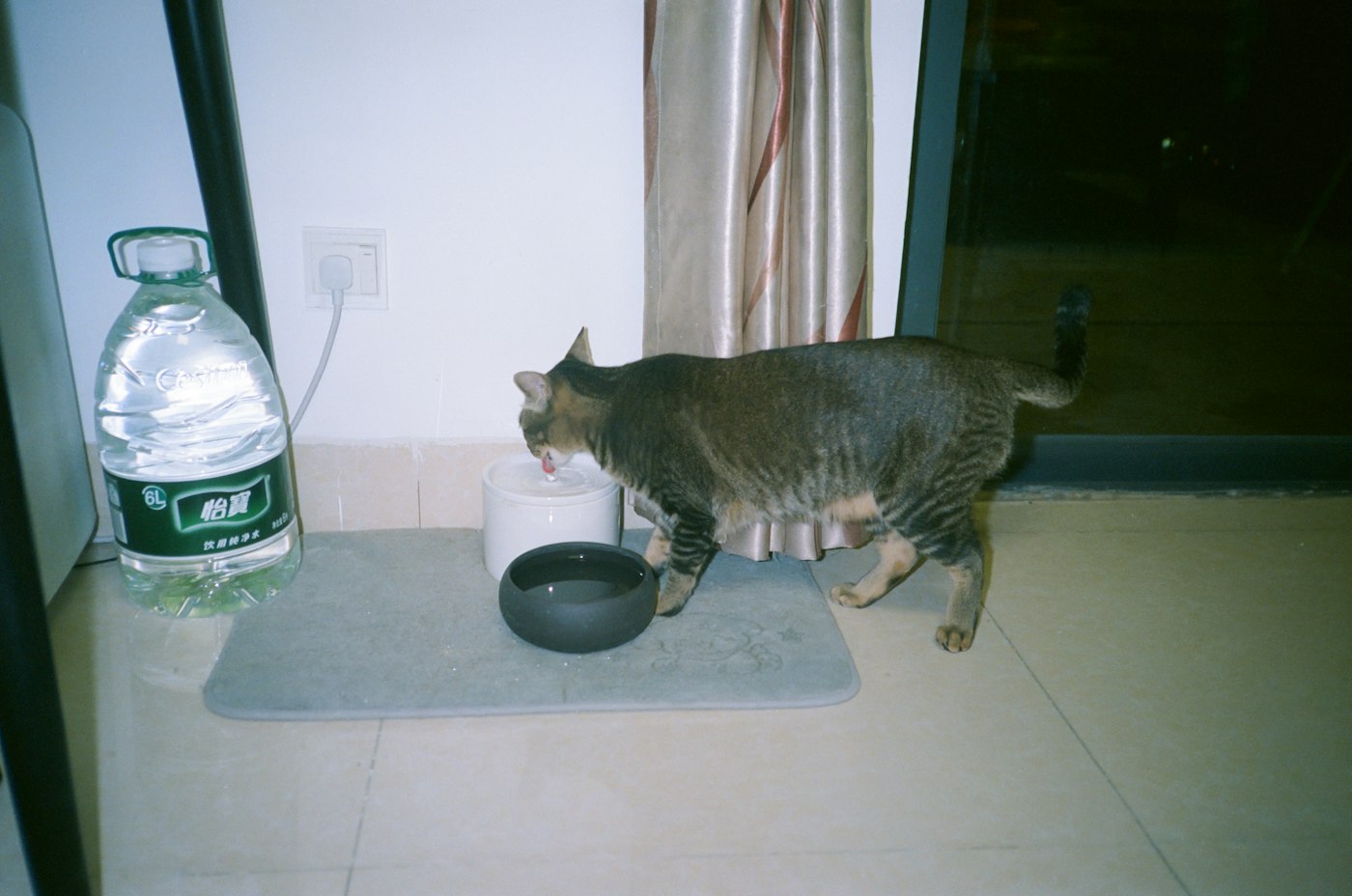 A tabby cat drinking at a water station beside a bowl on a kitchen floor