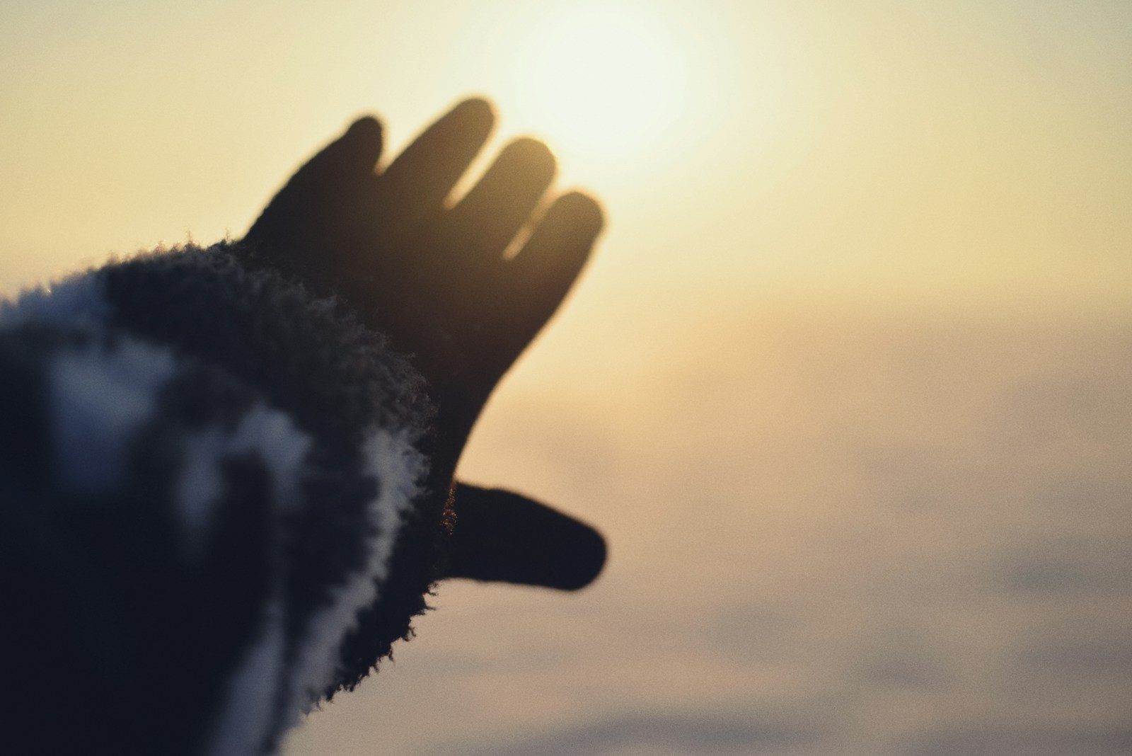 Gloved hand reaching toward the sun on a cold day