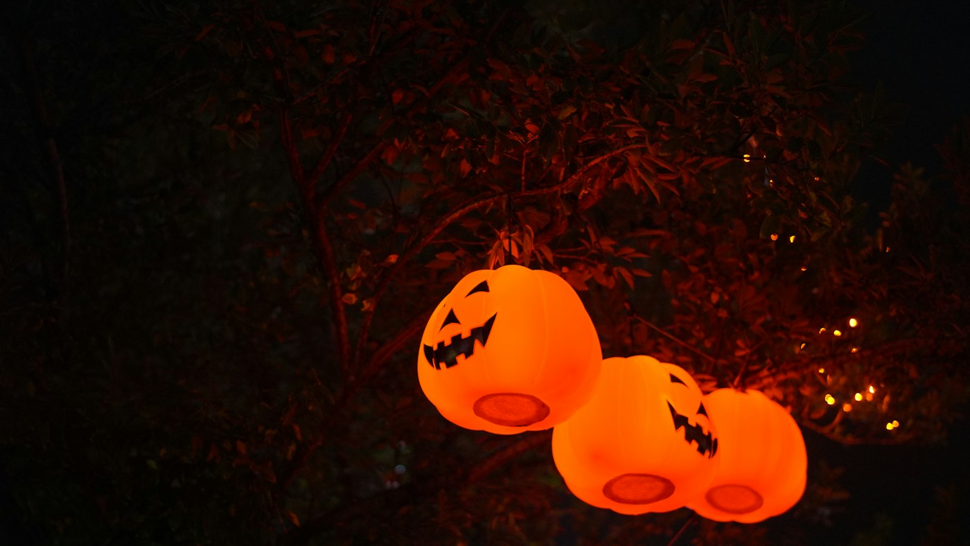 Three glowing jack-o'-lanterns hanging from a tree branch at night