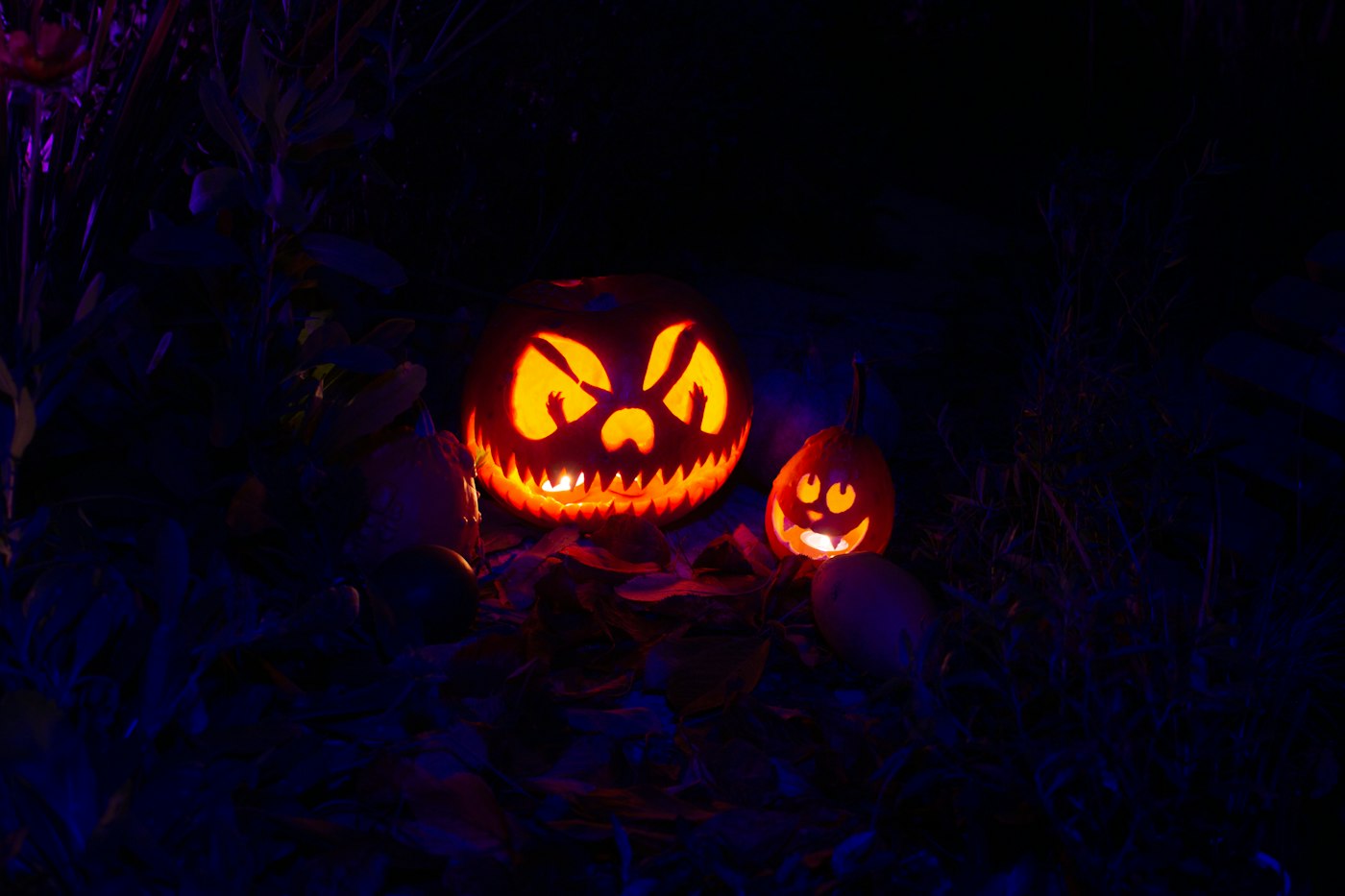 Jack-o'-lanterns glowing in the dark on Halloween night