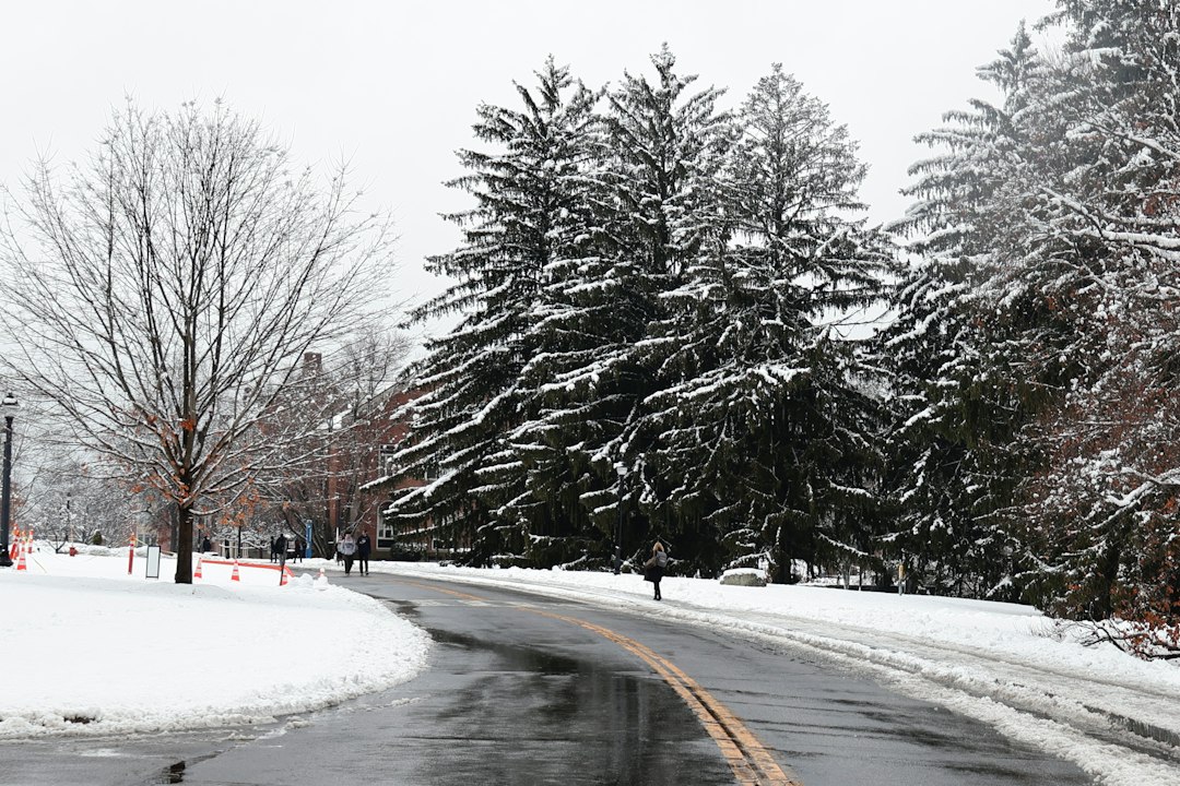 Snow-covered residential driveway after a winter snowfall