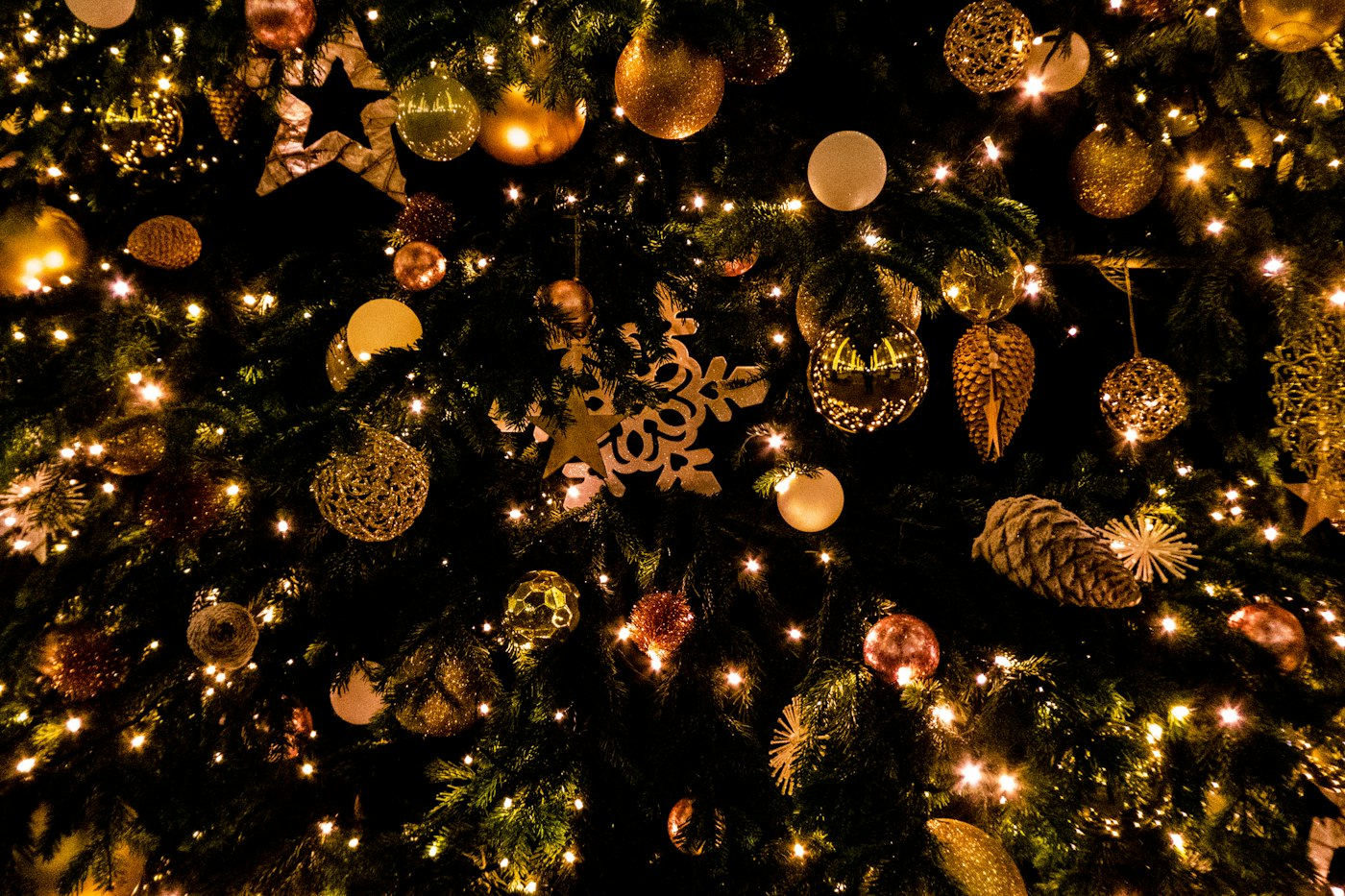 Twinkling warm white lights and golden ornaments on a Christmas tree