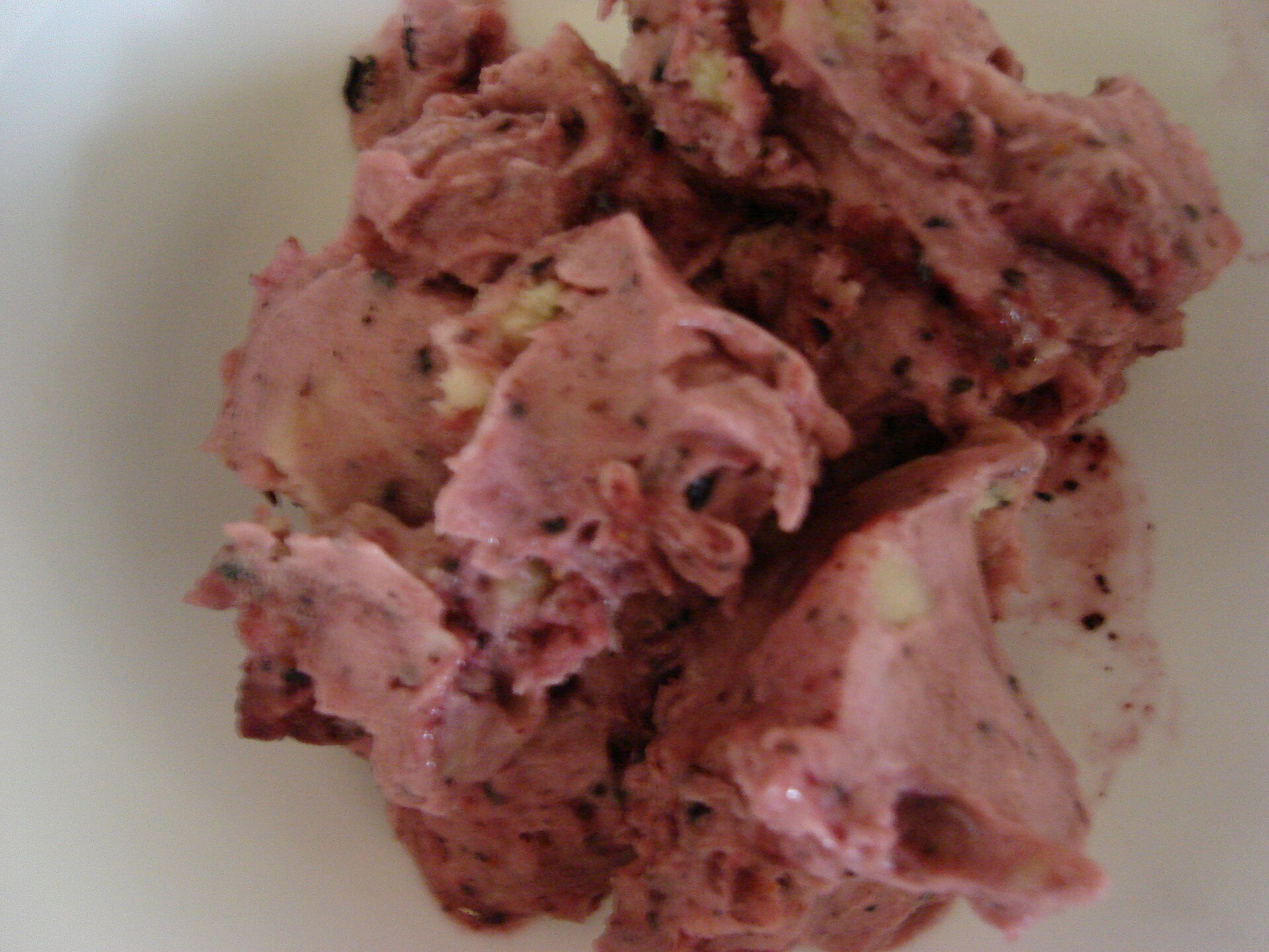 Sorbet made in a Vitamix blender